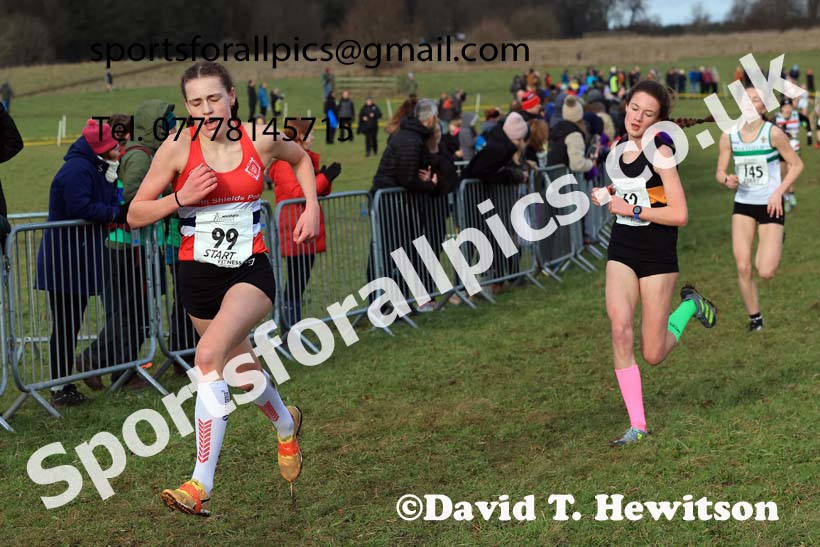 Girls Under-15s 2024 Northern Cross Country Champs., Sedgefield. Photo: David T. Hewitson/Sports for All Pics